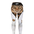 Karate Cat Print Men's Leggings