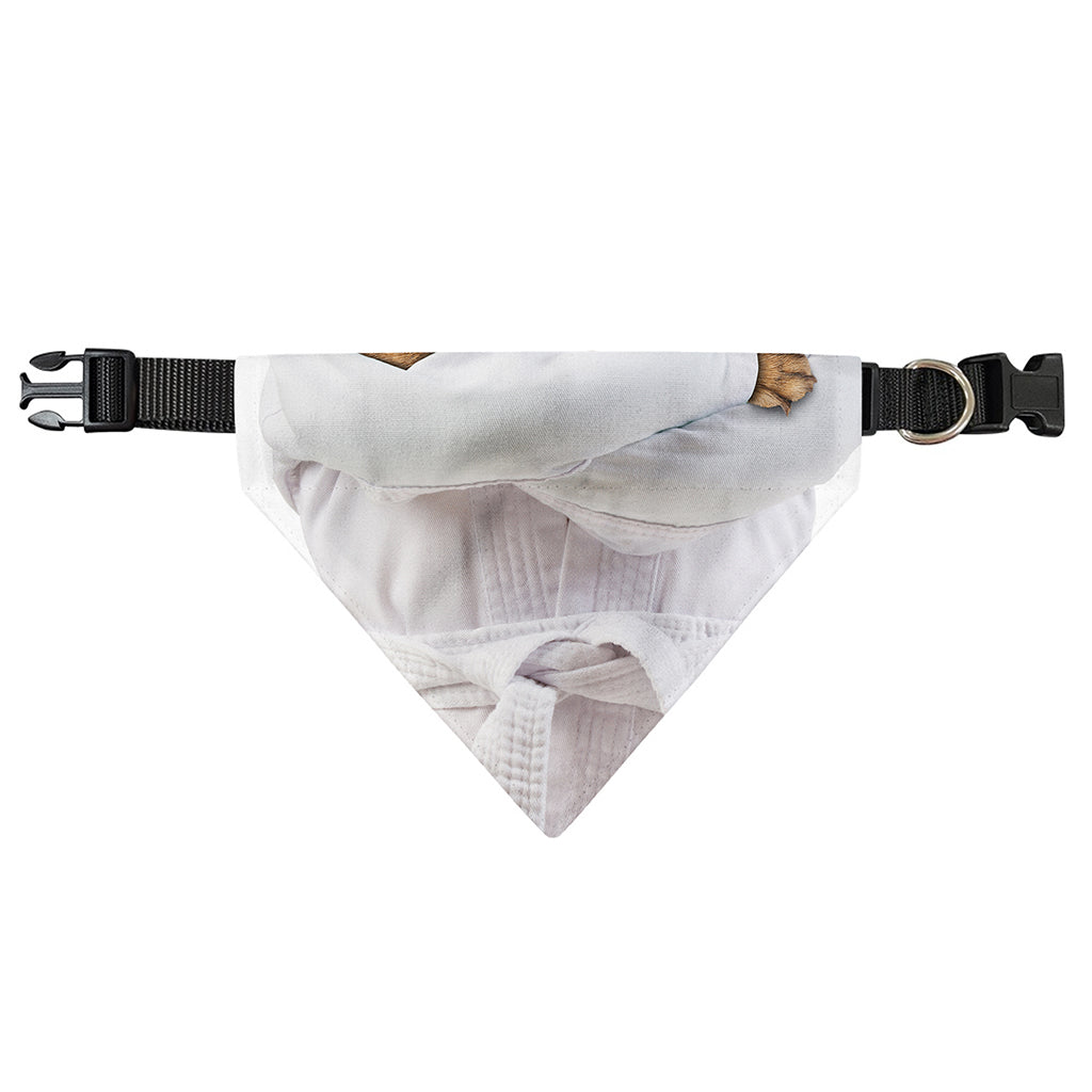 Karate Cat Print Over The Collar Dog Bandana