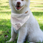 Karate Cat Print Over The Collar Dog Bandana