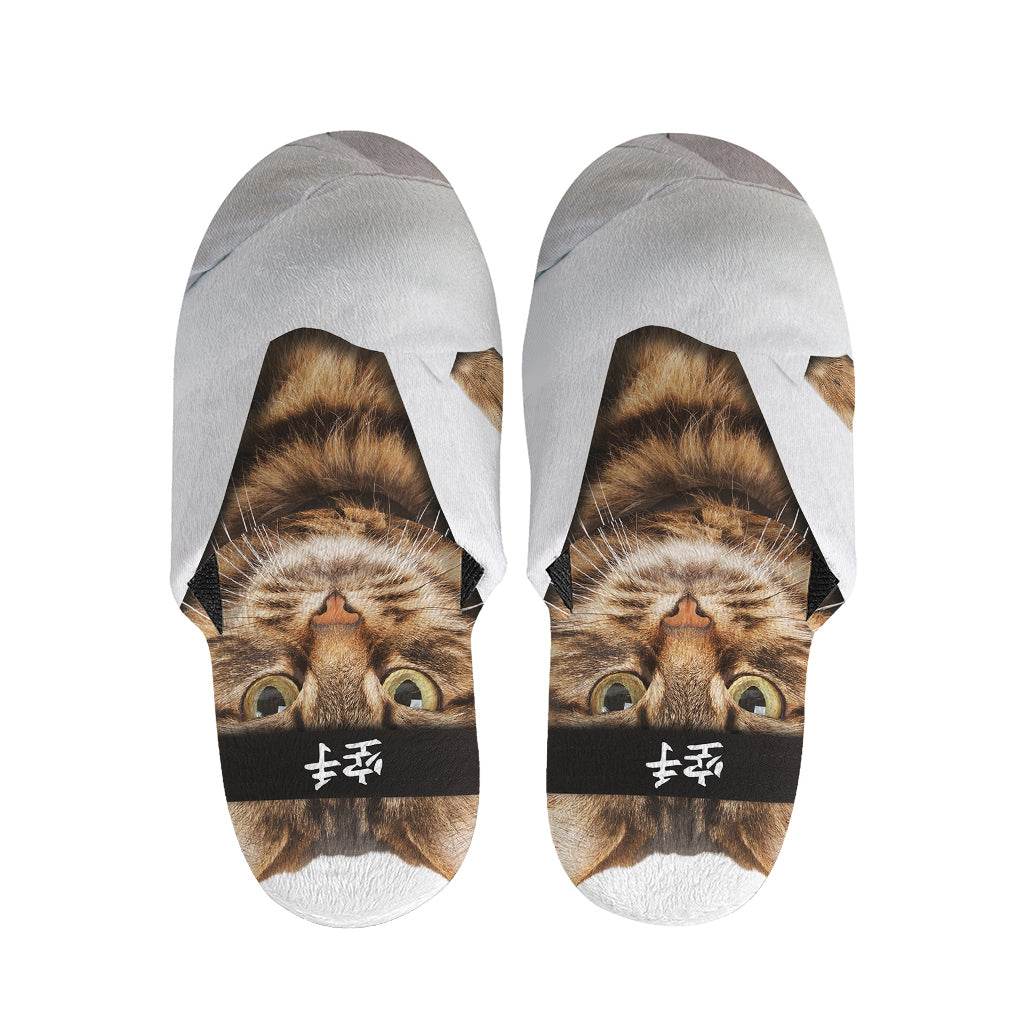Karate Cat Print Slippers