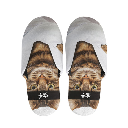 Karate Cat Print Slippers