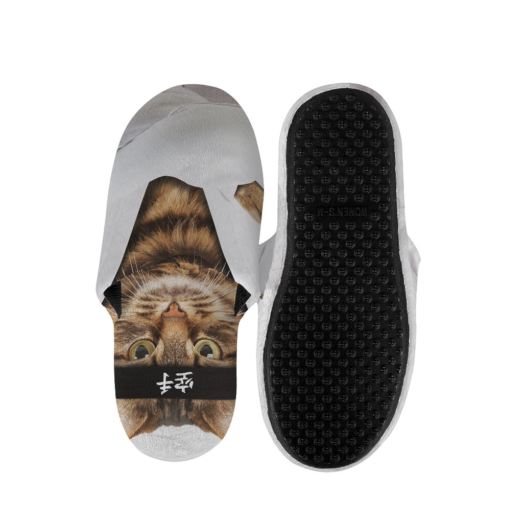 Karate Cat Print Slippers