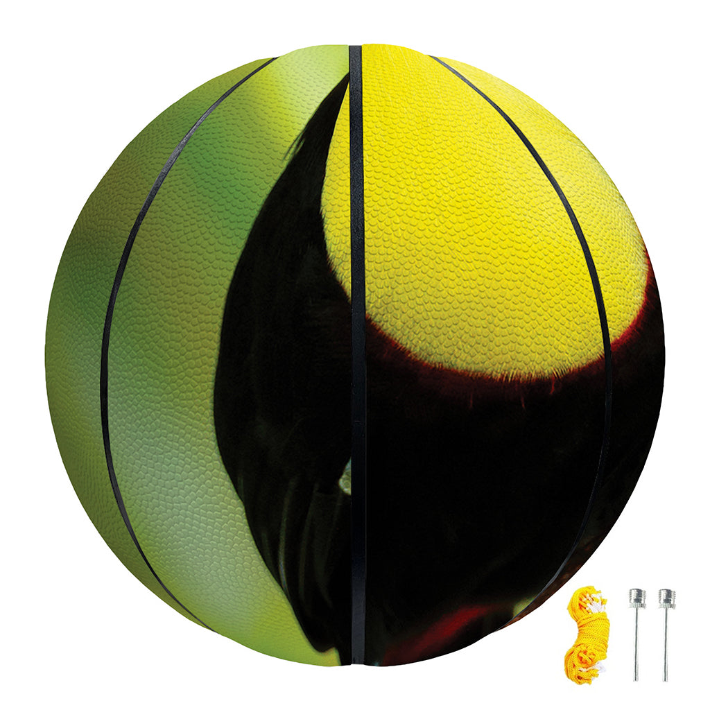 Keel-Billed Toucan Print Basketball