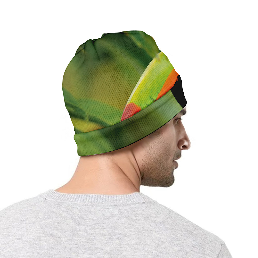 Keel-Billed Toucan Print Beanie