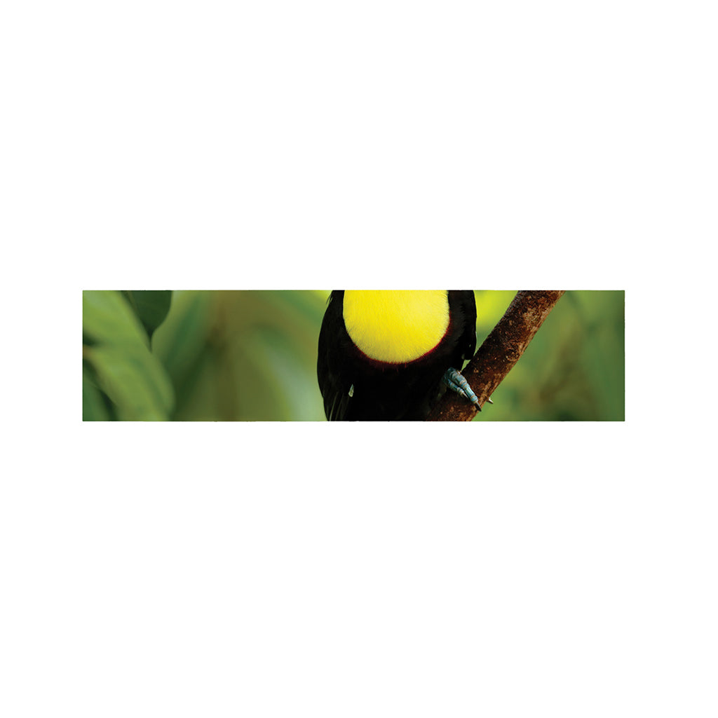 Keel-Billed Toucan Print Bed Runner