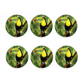 Keel-Billed Toucan Print Coaster Set