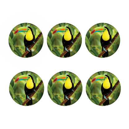 Keel-Billed Toucan Print Coaster Set