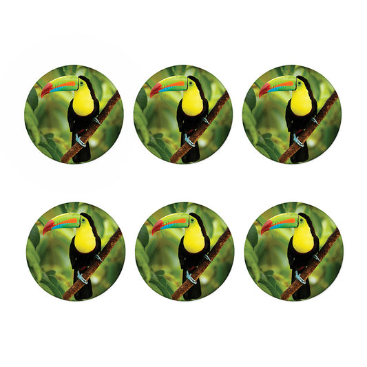 Keel-Billed Toucan Print Coaster Set