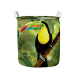 Keel-Billed Toucan Print Collapsible Laundry Basket