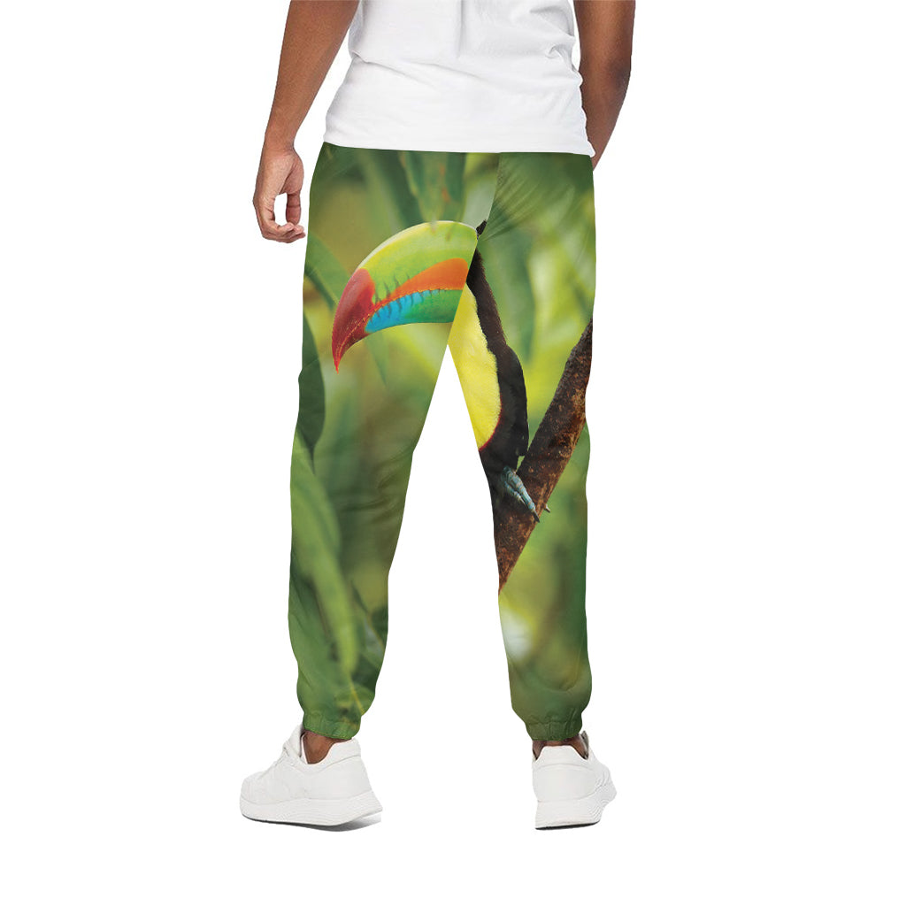 Keel-Billed Toucan Print Cotton Pants