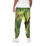 Keel-Billed Toucan Print Cotton Pants