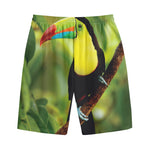 Keel-Billed Toucan Print Cotton Shorts