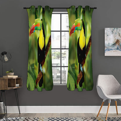 Keel-Billed Toucan Print Curtain