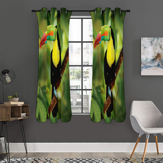 Keel-Billed Toucan Print Curtain