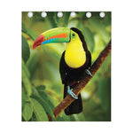 Keel-Billed Toucan Print Curtain