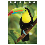 Keel-Billed Toucan Print Curtain