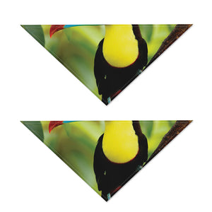 Keel-Billed Toucan Print Dog Bandana