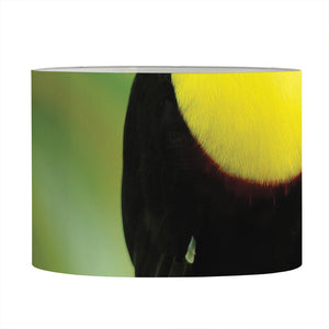 Keel-Billed Toucan Print Drum Lamp Shade