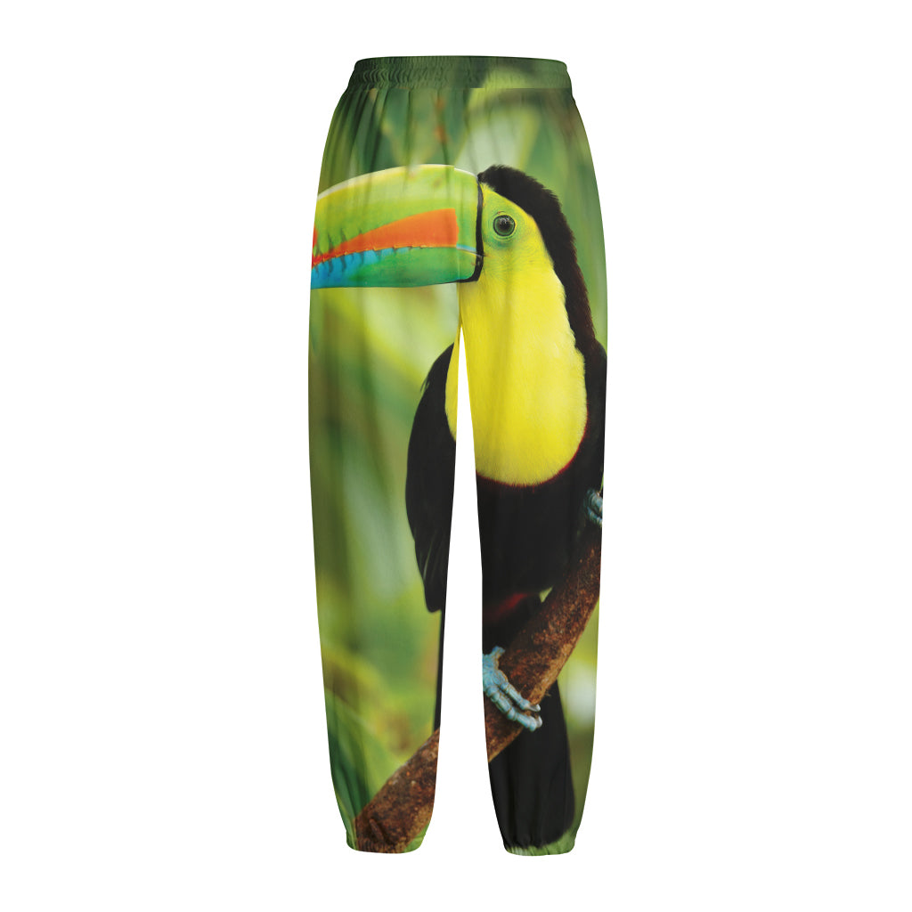 Keel-Billed Toucan Print Fleece Lined Knit Pants