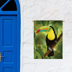 Keel-Billed Toucan Print Garden Flag