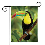 Keel-Billed Toucan Print House Flag
