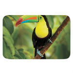 Keel-Billed Toucan Print Indoor Door Mat