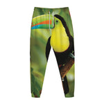 Keel-Billed Toucan Print Jogger Pants