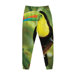 Keel-Billed Toucan Print Jogger Pants