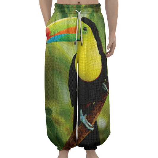Keel-Billed Toucan Print Lantern Pants