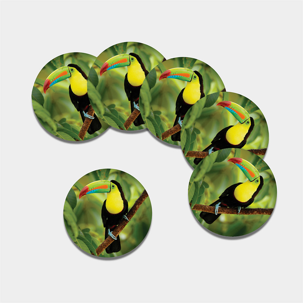 Keel-Billed Toucan Print Leather Coaster Set