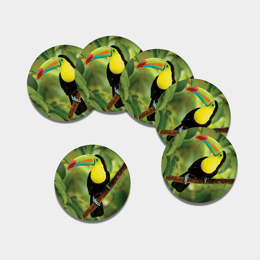 Keel-Billed Toucan Print Leather Coaster Set