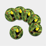 Keel-Billed Toucan Print Leather Coaster Set