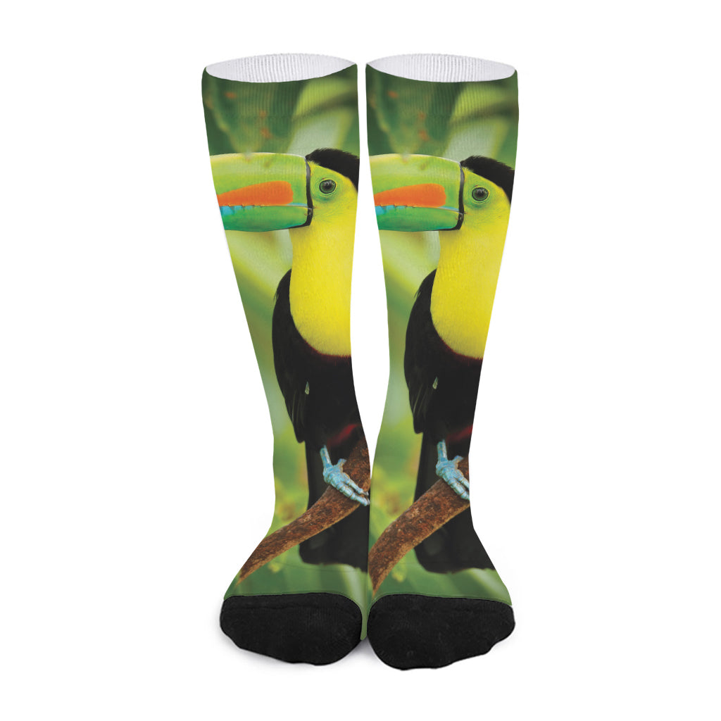 Keel-Billed Toucan Print Long Socks