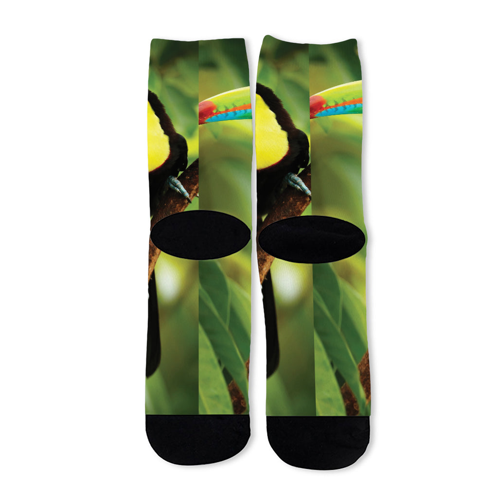 Keel-Billed Toucan Print Long Socks