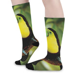 Keel-Billed Toucan Print Long Socks