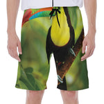 Keel-Billed Toucan Print Men's Beach Shorts