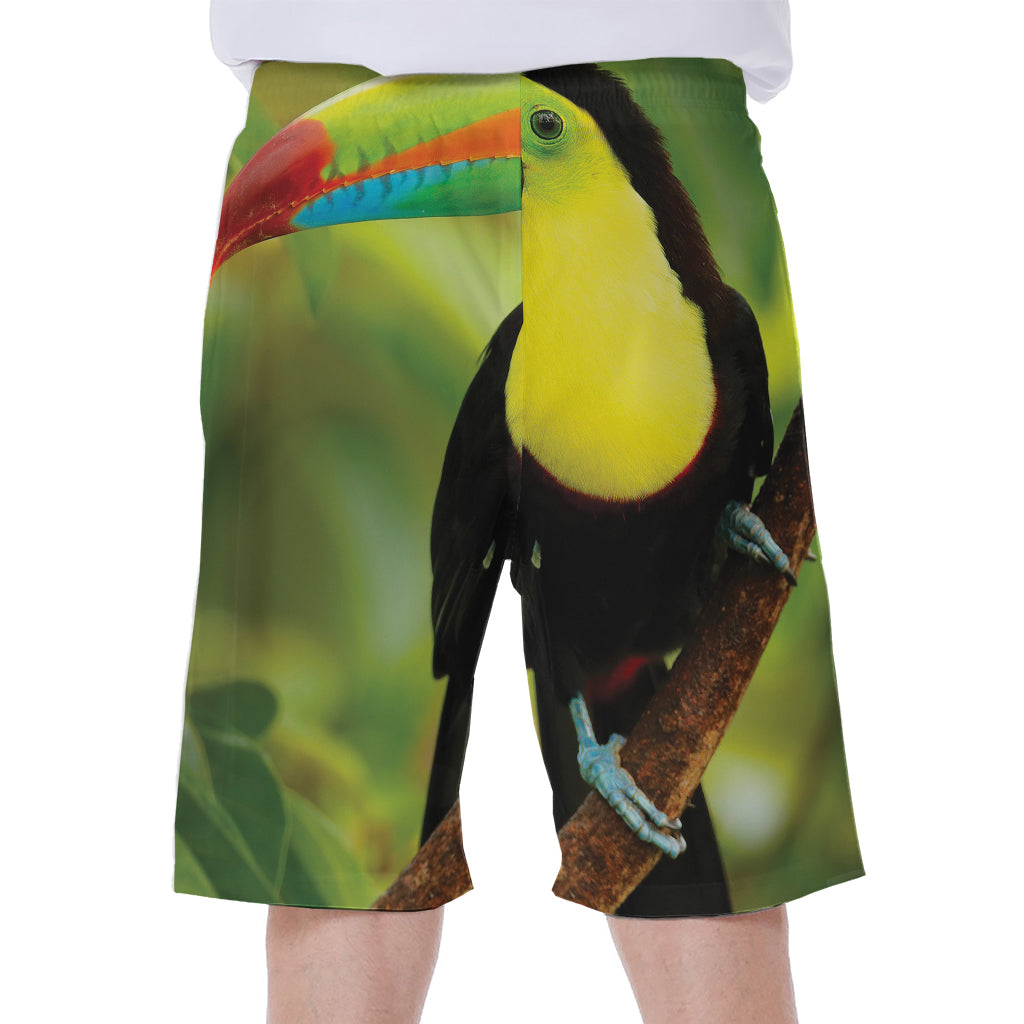 Keel-Billed Toucan Print Men's Beach Shorts