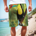 Keel-Billed Toucan Print Men's Cargo Shorts