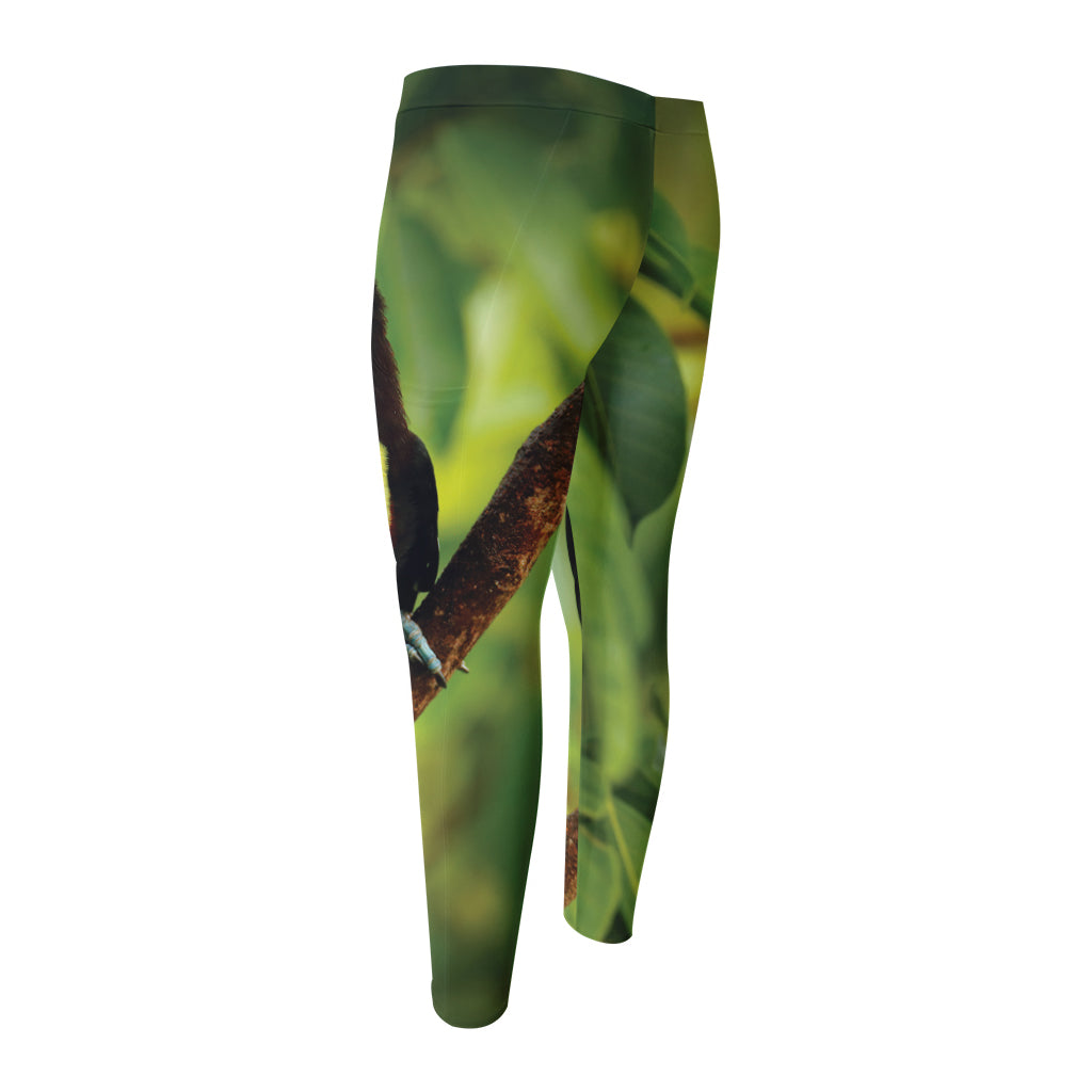 Keel-Billed Toucan Print Men's Compression Pants