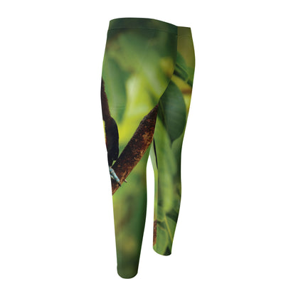 Keel-Billed Toucan Print Men's Compression Pants