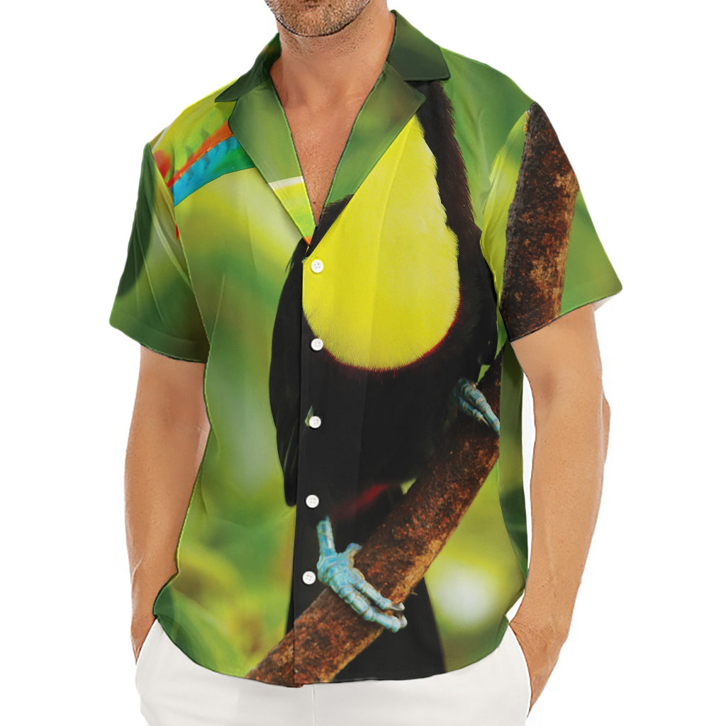 Keel-Billed Toucan Print Men's Deep V-Neck Shirt