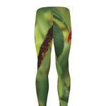 Keel-Billed Toucan Print Men's leggings