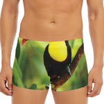 Keel-Billed Toucan Print Men's Short Boxer Briefs