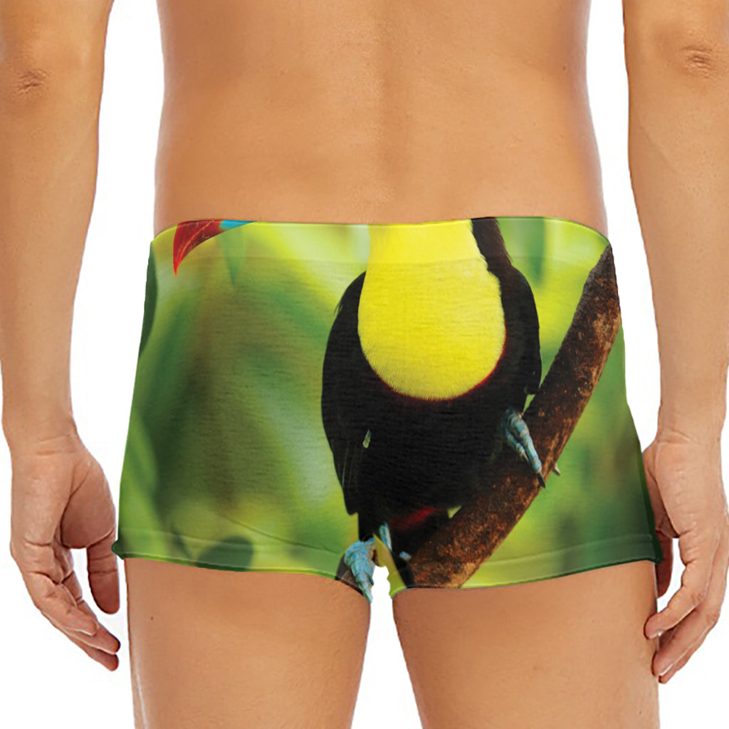 Keel-Billed Toucan Print Men's Short Boxer Briefs
