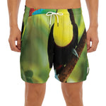Keel-Billed Toucan Print Men's Split Running Shorts