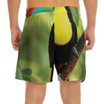 Keel-Billed Toucan Print Men's Split Running Shorts