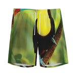 Keel-Billed Toucan Print Men's Sports Shorts