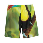 Keel-Billed Toucan Print Men's Sports Shorts