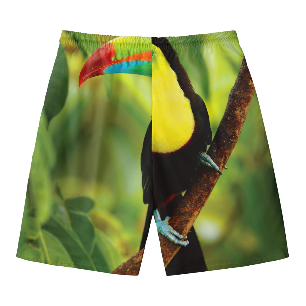Keel-Billed Toucan Print Men's Swim Trunks