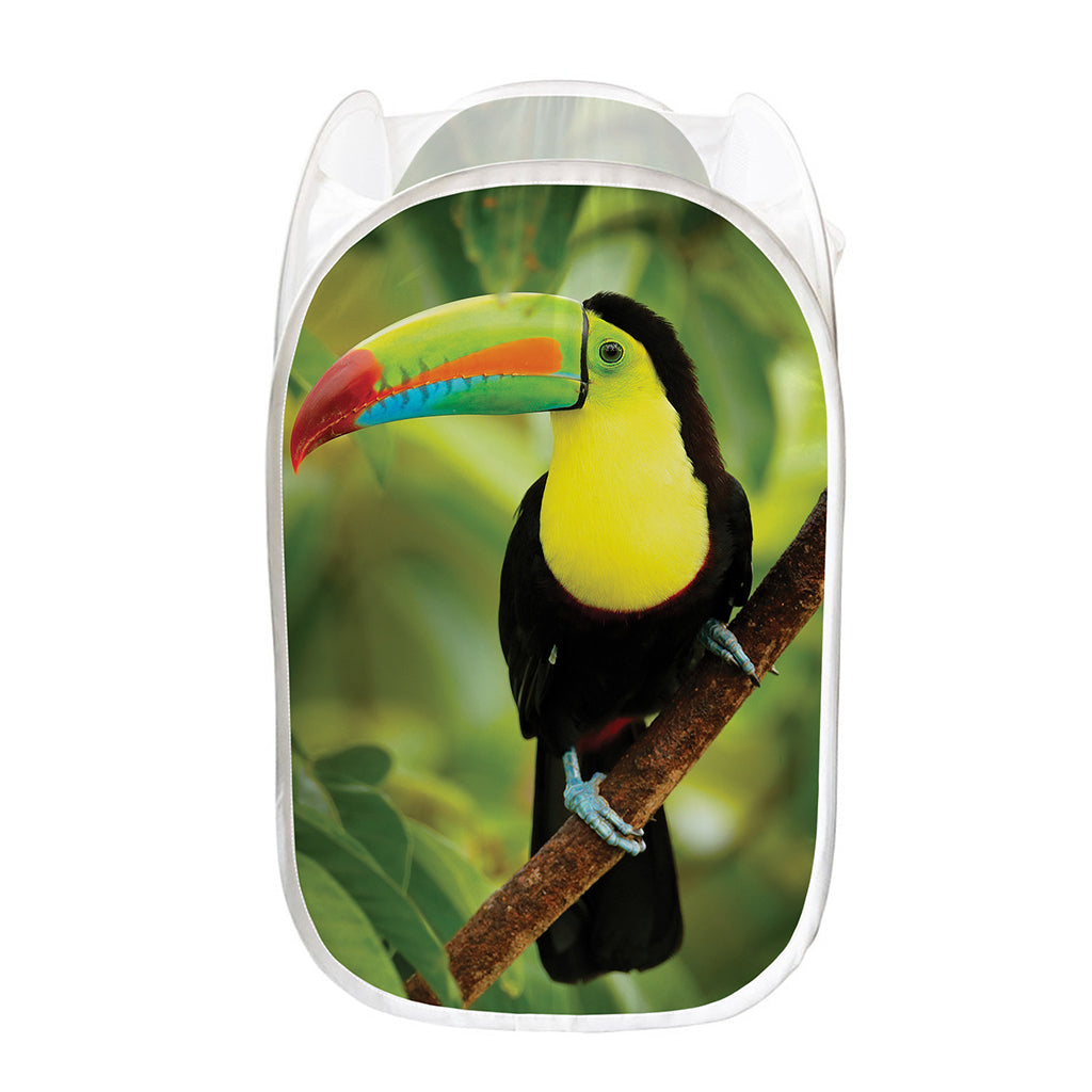 Keel-Billed Toucan Print Mesh Laundry Hamper